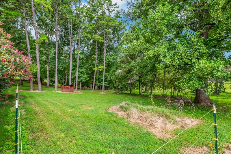 8544 Walnut Cove Road-52.jpg