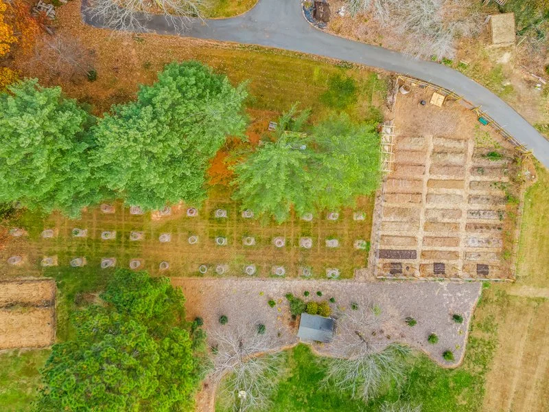 3409 Mill Run Lane - 11.2025-6.jpg