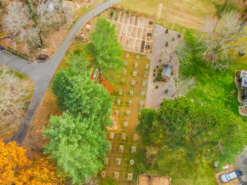 3409 Mill Run Lane - 11.2025-7.jpg