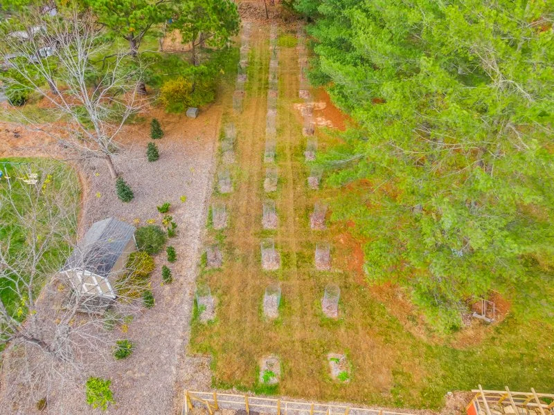 3409 Mill Run Lane - 11.2025-9.jpg