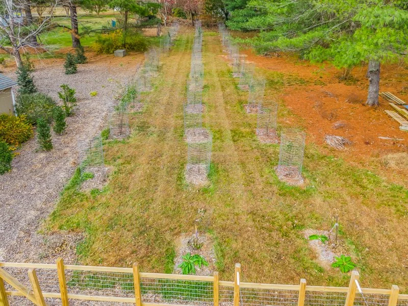 3409 Mill Run Lane - 11.2025-10.jpg