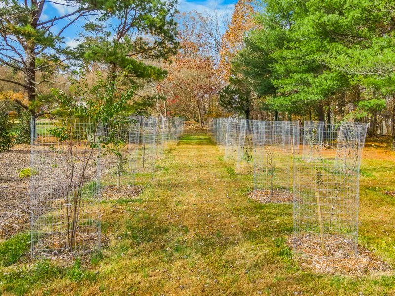 3409 Mill Run Lane - 11.2025-16.jpg