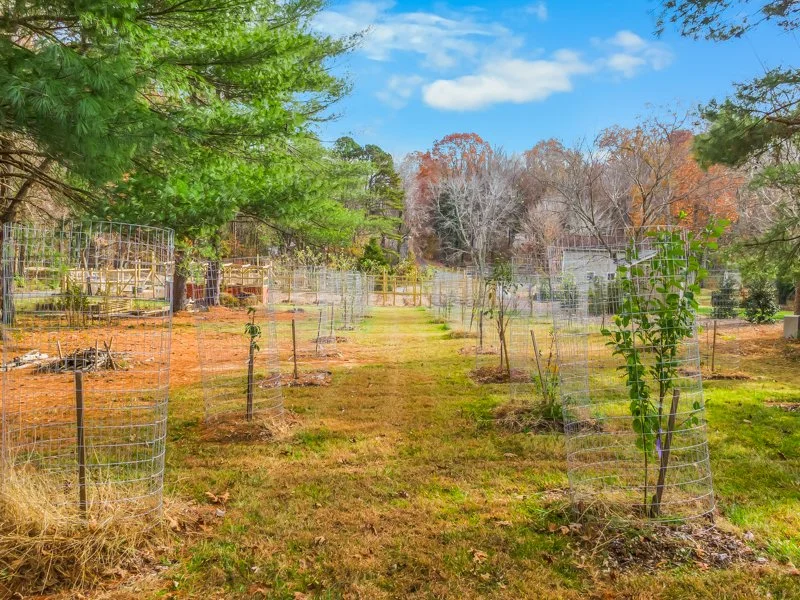 3409 Mill Run Lane - 11.2025-17.jpg