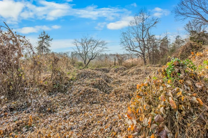 220 Kerner Knolls Drive-29.jpg