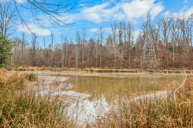 212 Barlow Circle-8.jpg