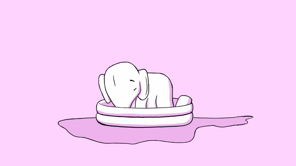 Pom_IV_Montage_1.gif