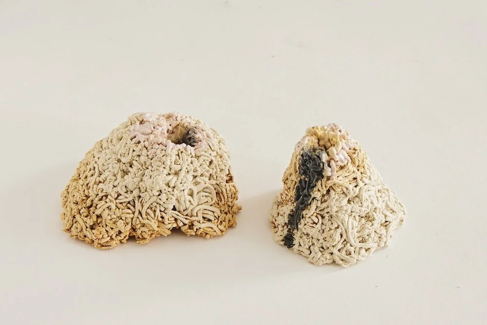 TOUTE EST UNE VOLCAN_0172 copie.jpg