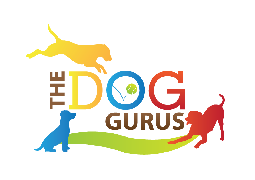 the dog gurus.png
