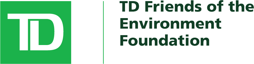 TD-FEF-logo.png