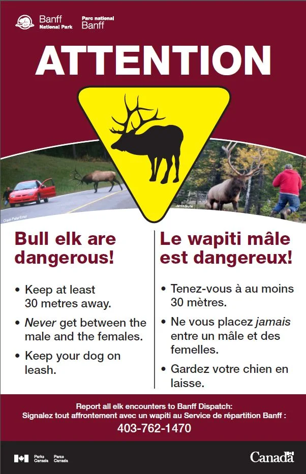Elk Rut Warning.jpg