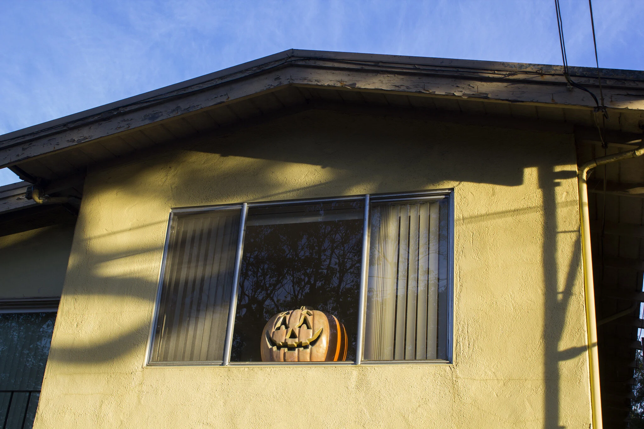 Keep your doorstep bear free by placing pumpkins inside windows