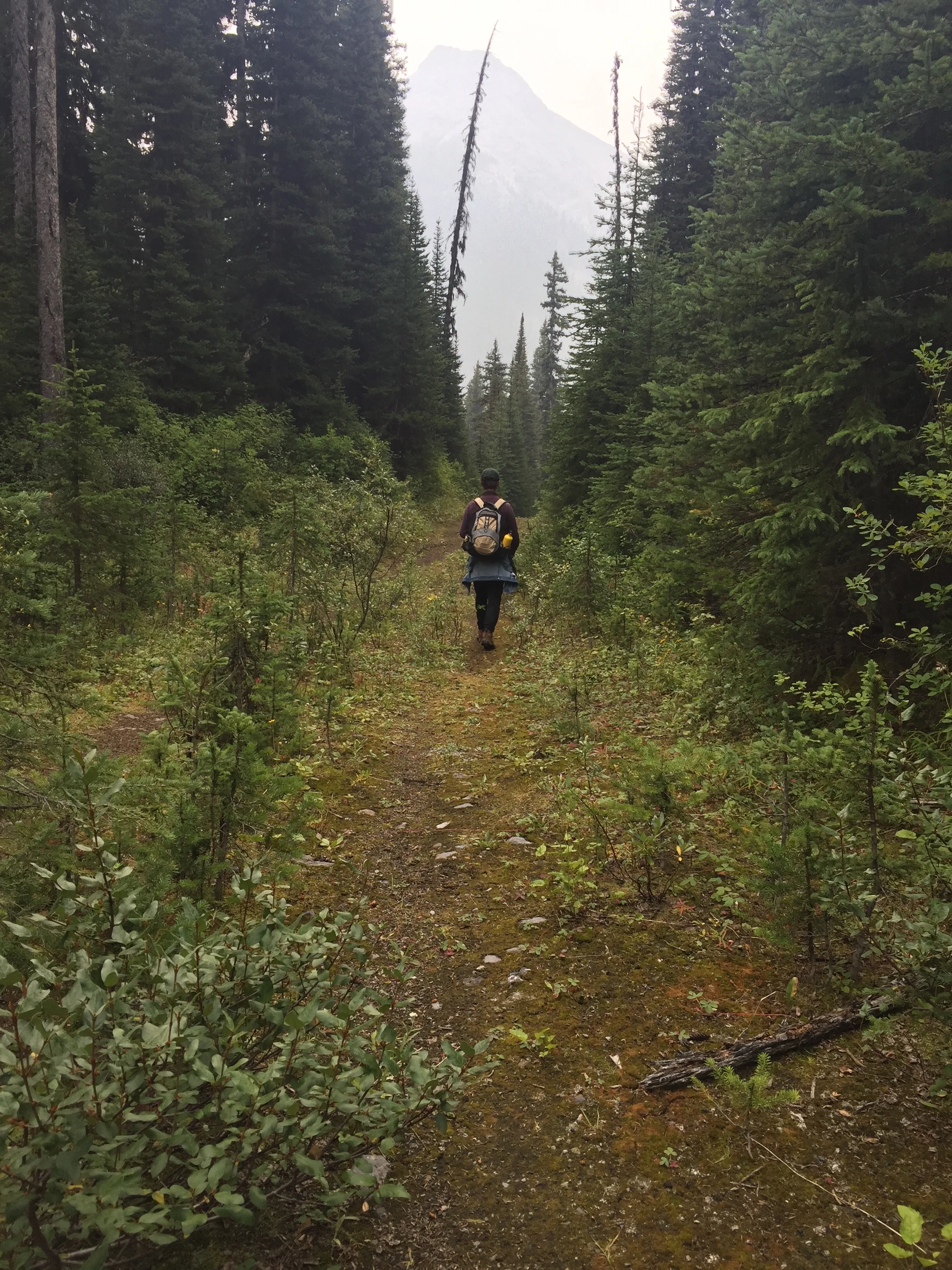 Speaker Series - GIFTS from FLOWER: OUR NOSE TO NOSE GRIZZLY ENCOUNTER