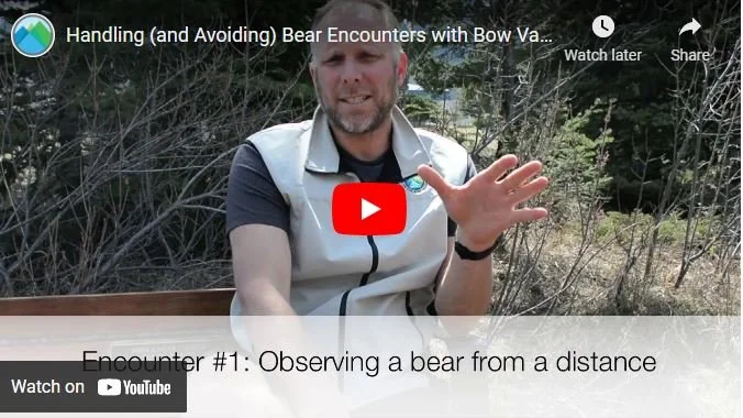 Video - Handling and avoiding bear encounters