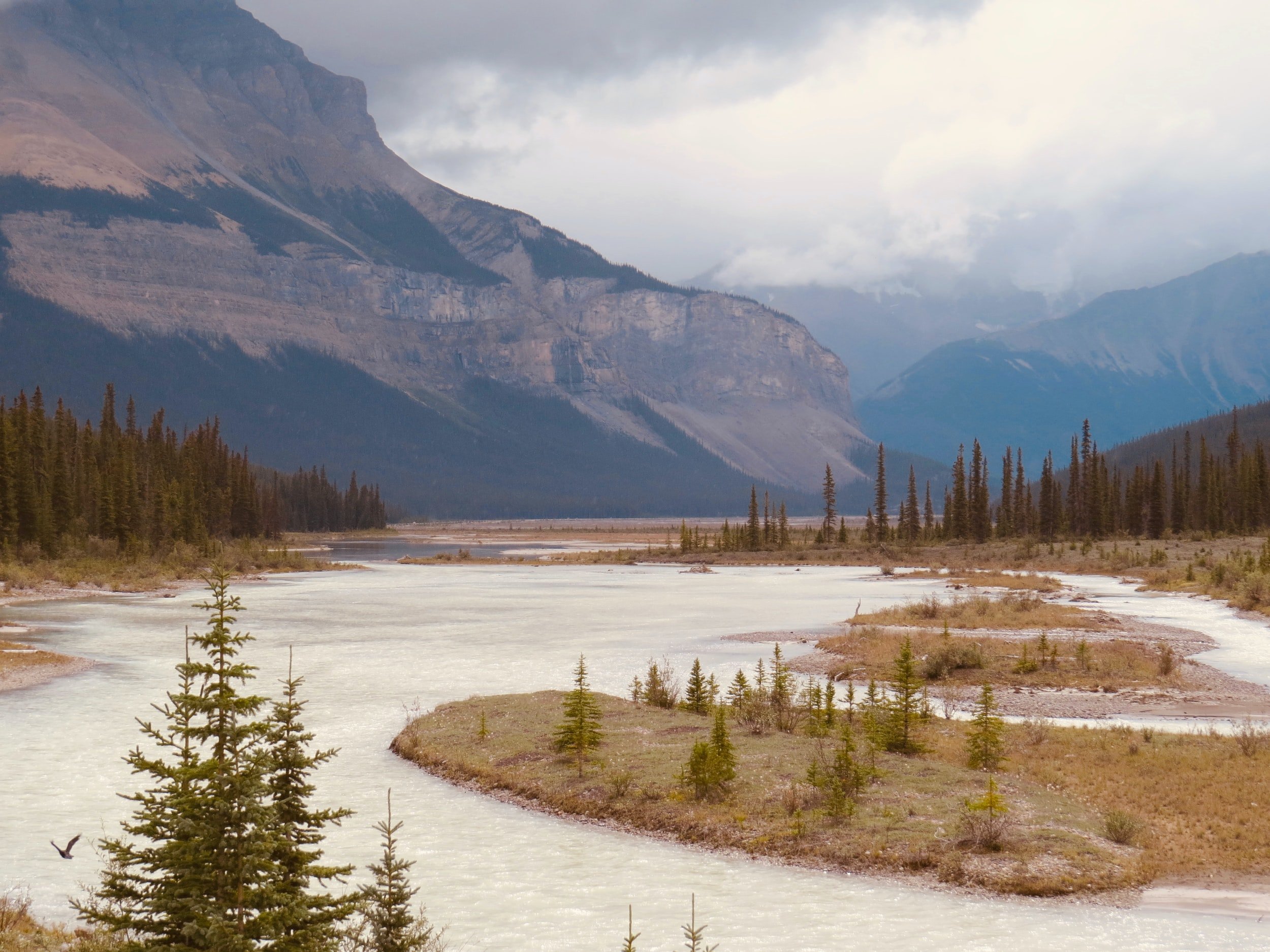 unsplash-image-42ItVc84OeA.jpg