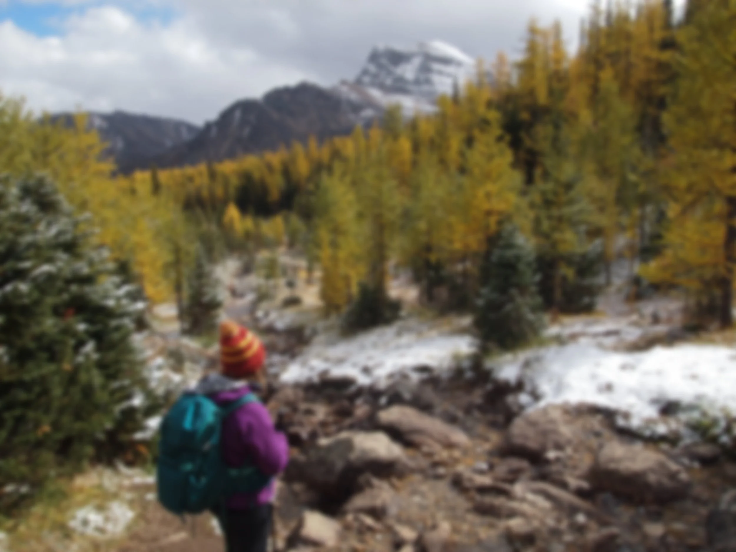 We want to say hello