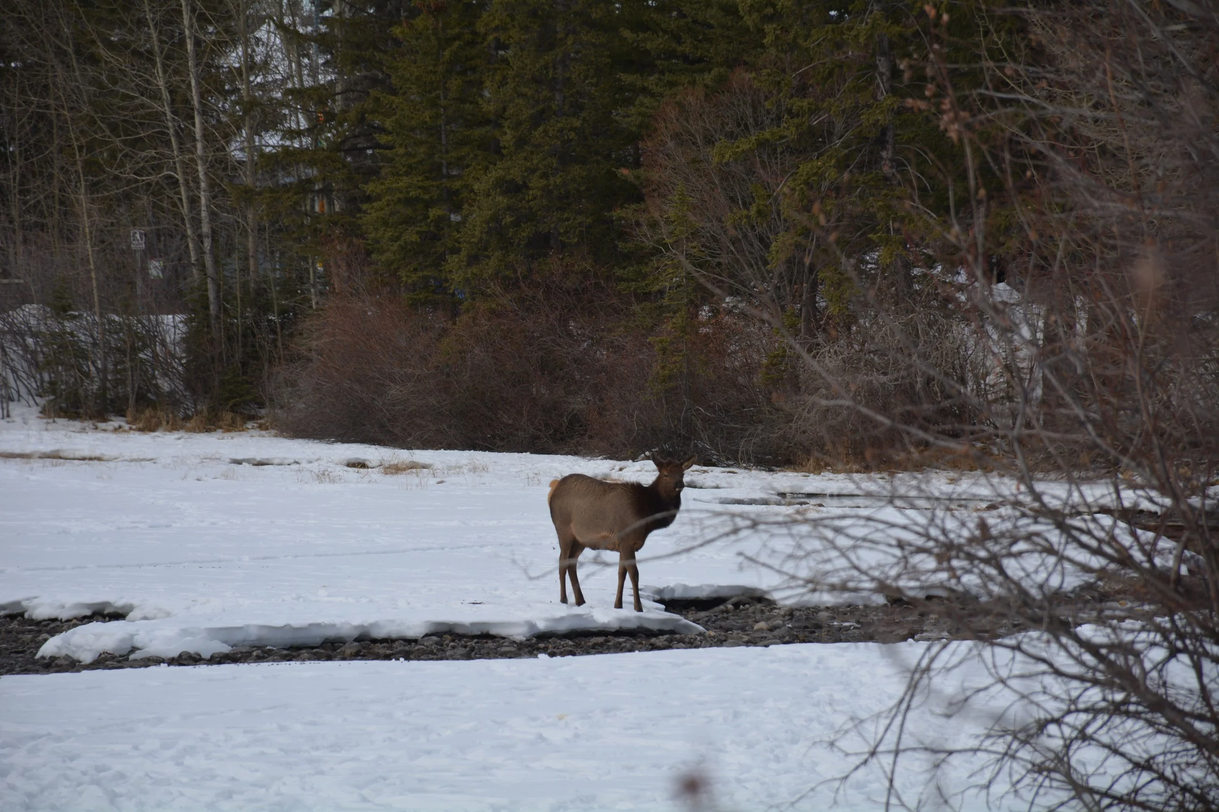 Our Interconnectedness