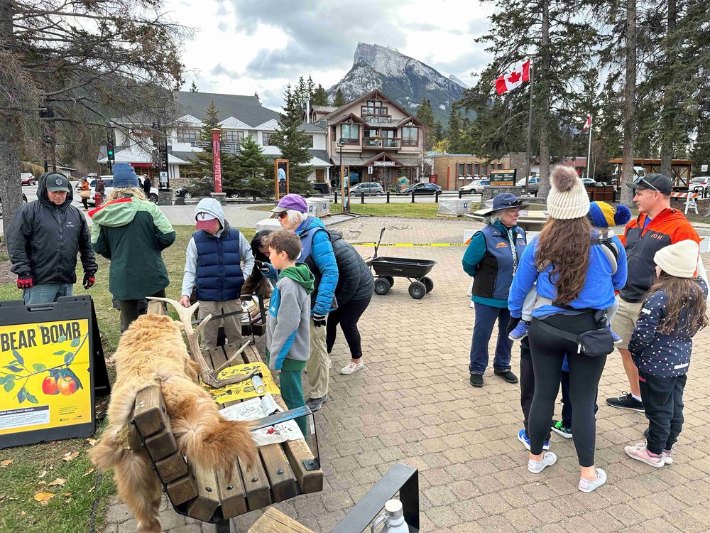  Central Park in Banff in late October 2023. 