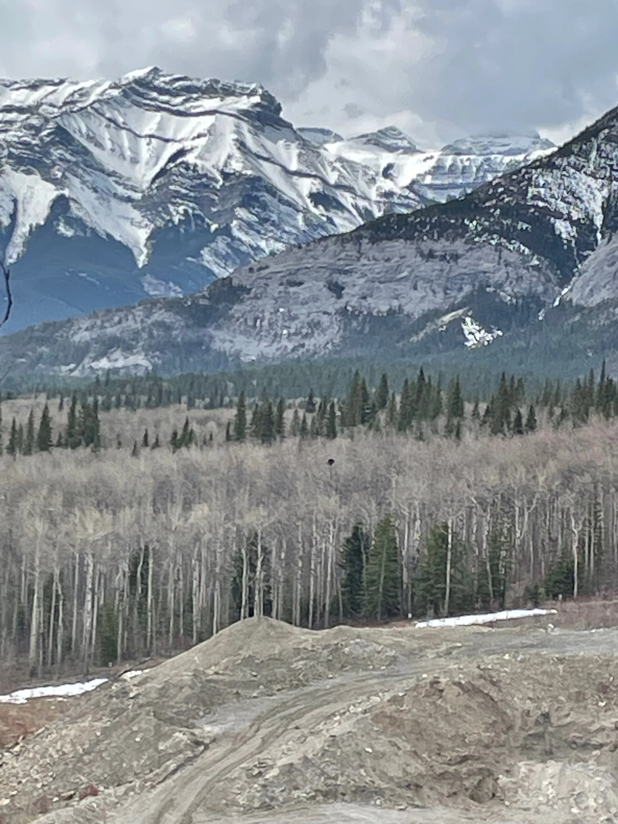 Bear Report - May 2, 2024