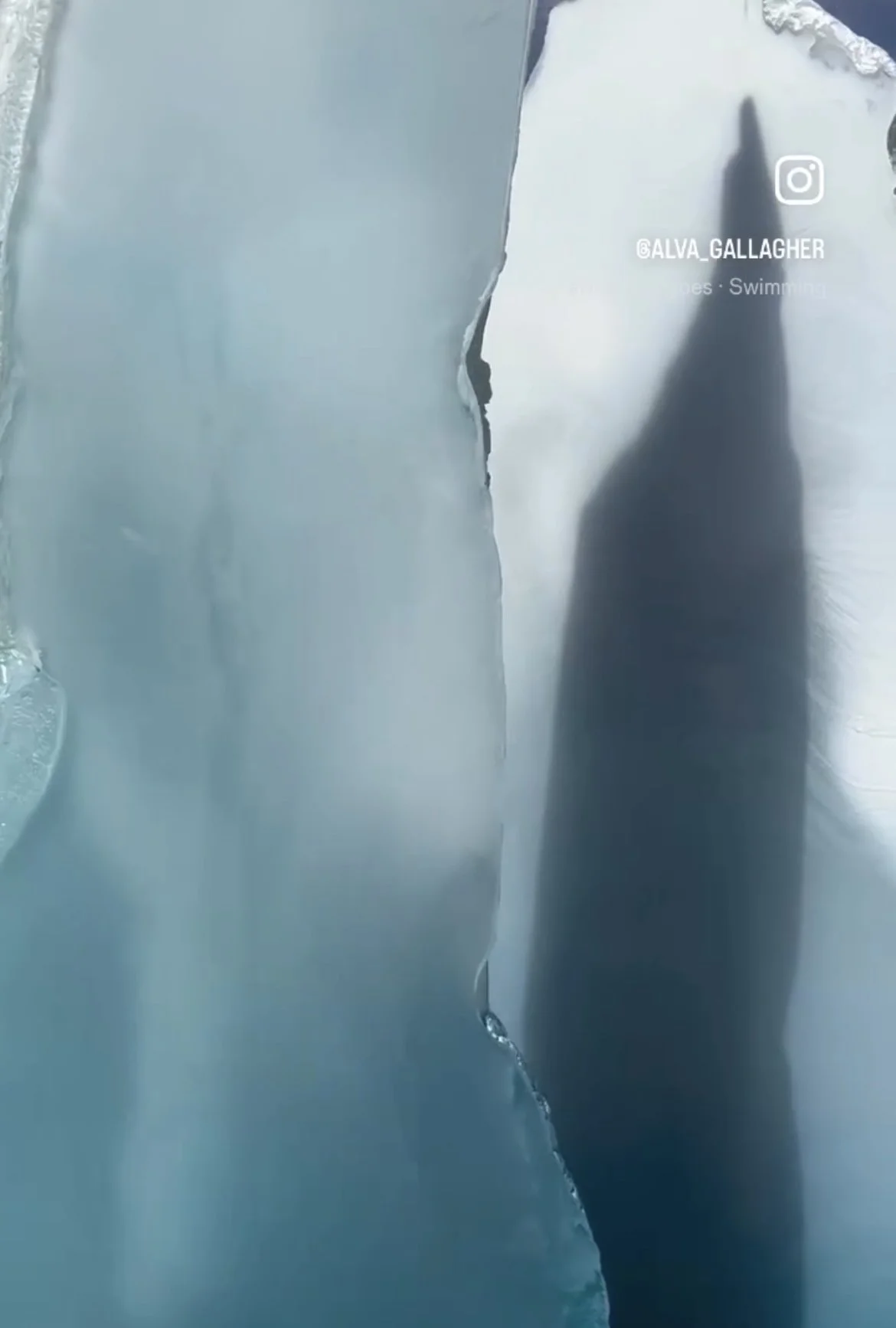 (EXTERNAL EVENT) Meet the Glaciers: Where Science Meets Art on Main Street!