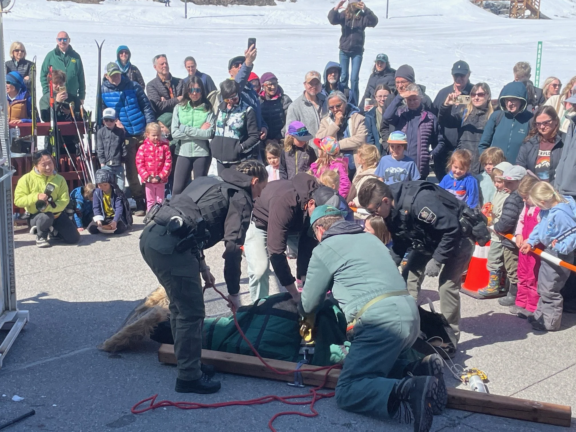 Bear Report - April 24, 2026