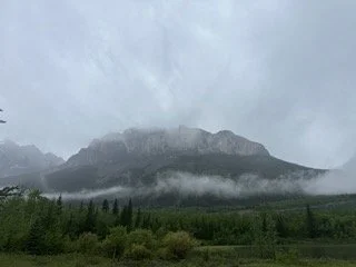 IMG_4017 Small.jpeg