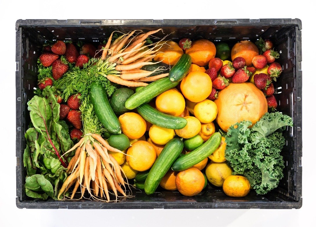 Harnessing the Power of Food: Cooking Out of the Box! 