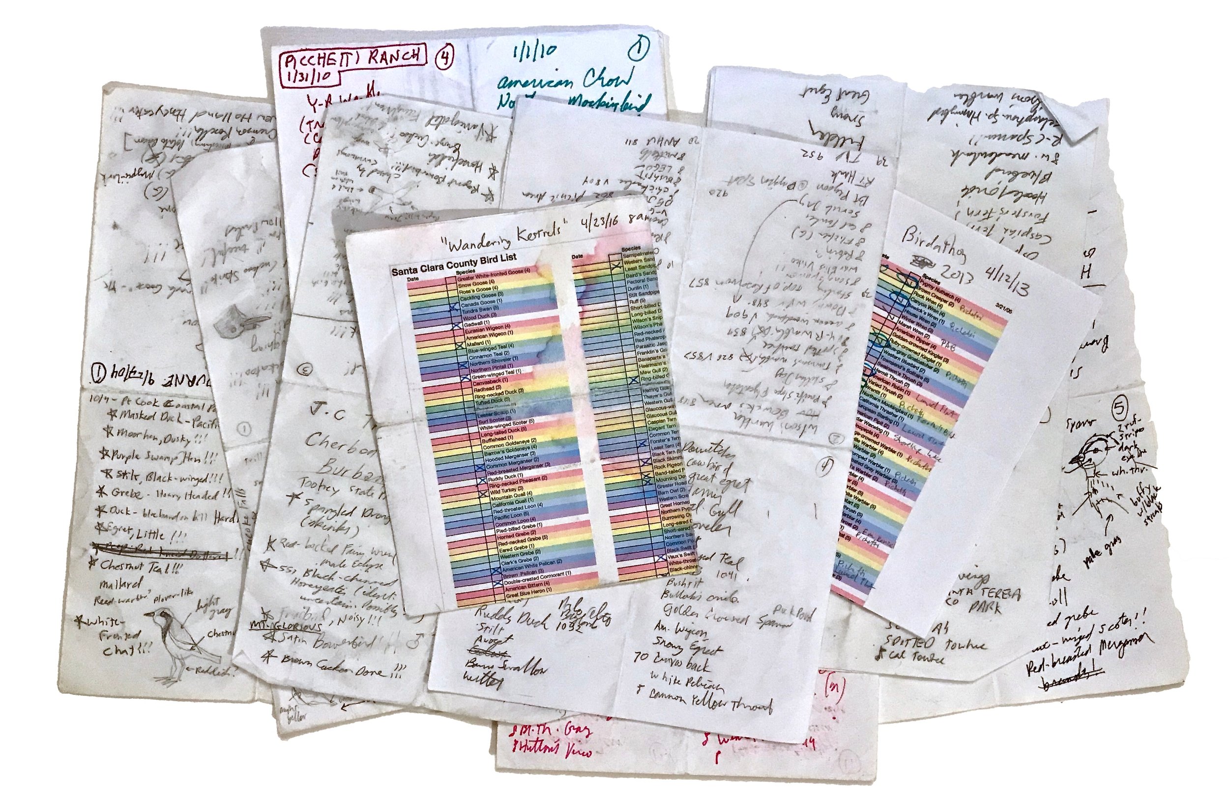 Paper_Bird_Lists-2-small.jpeg