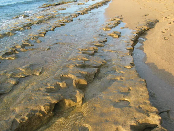 Sandstone tidepools to the East