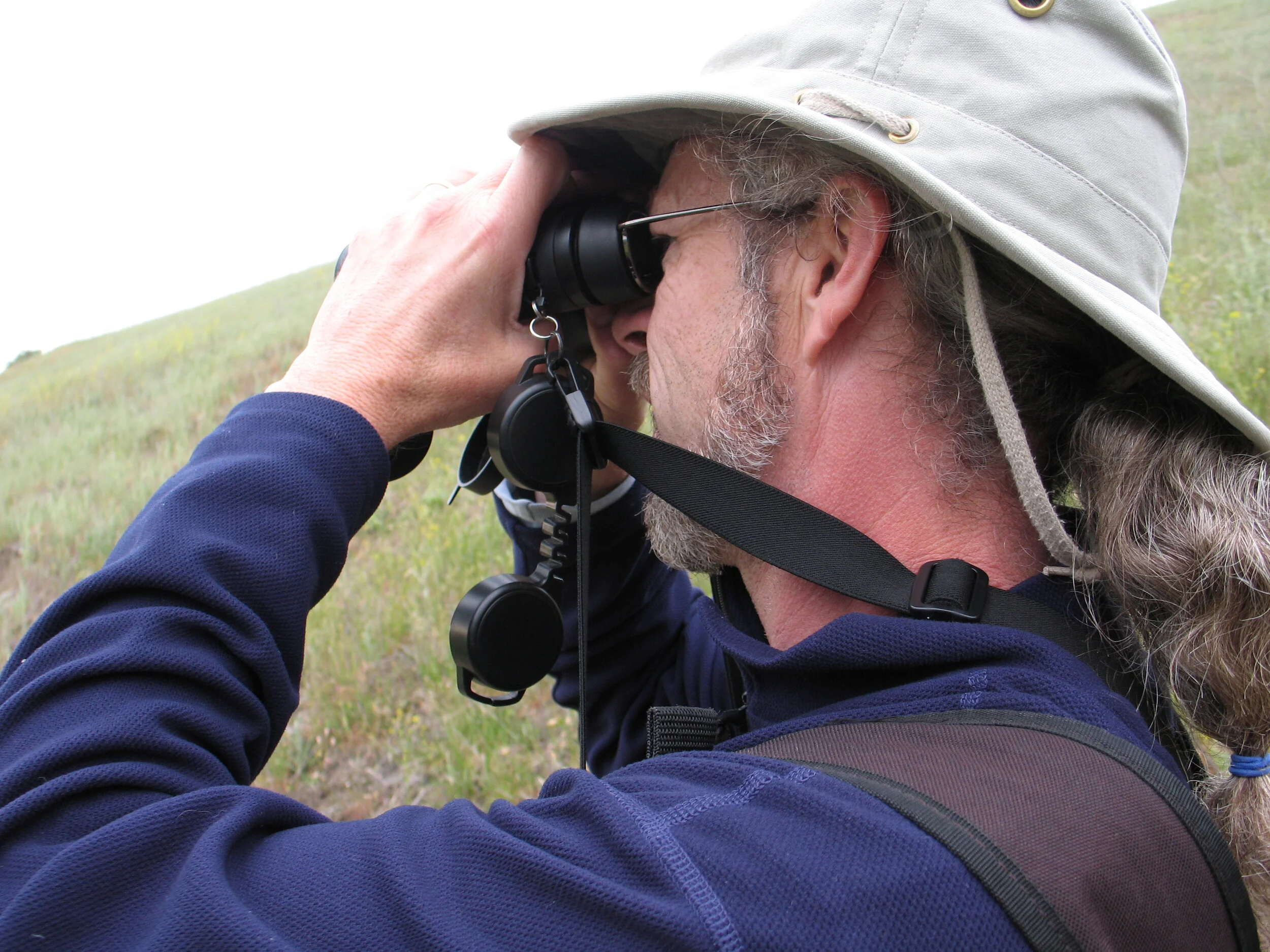 Spring 2008 - The Jack Sparrows Birdathon
