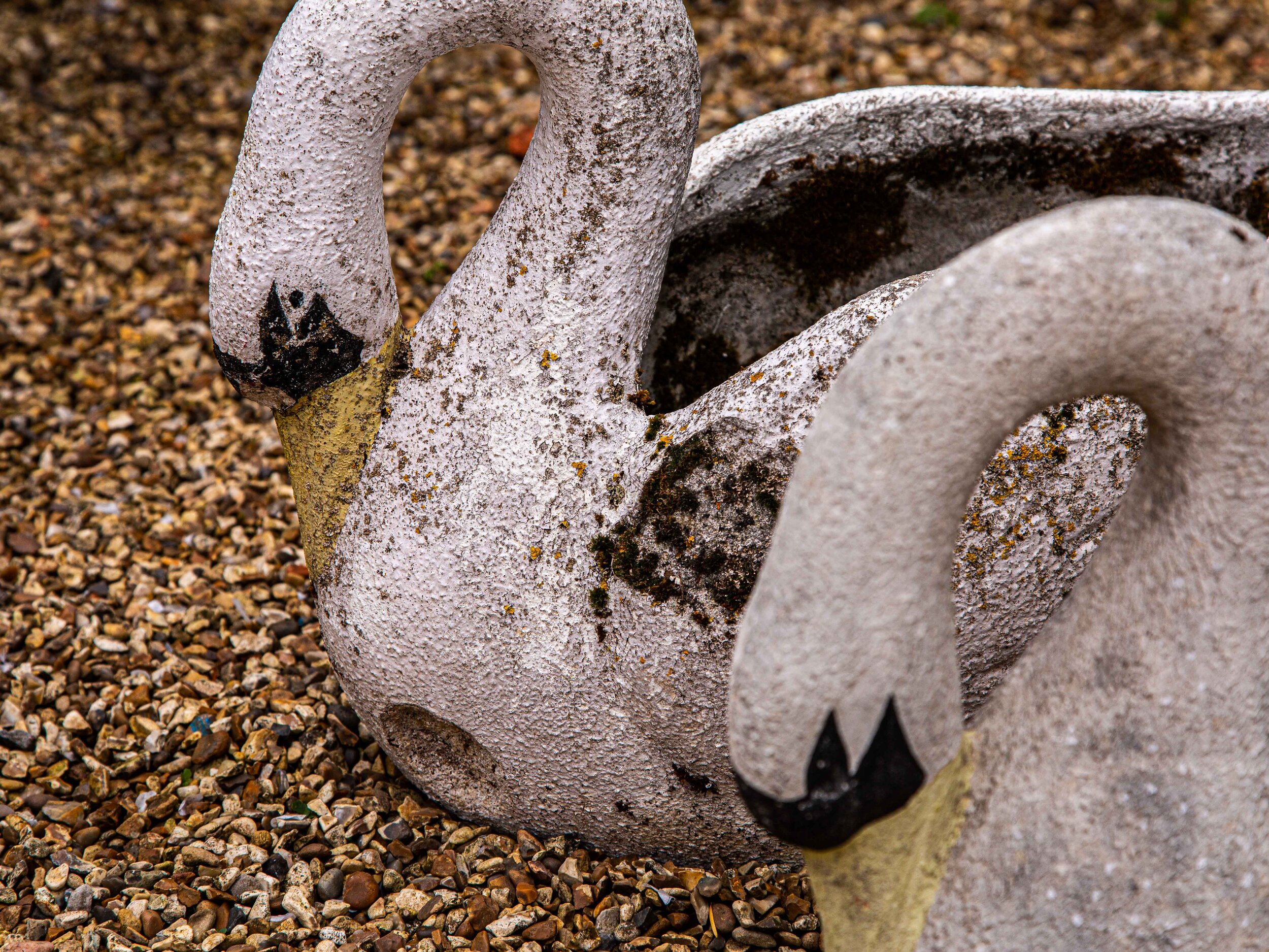 Composite Stone Swans – £395 each
