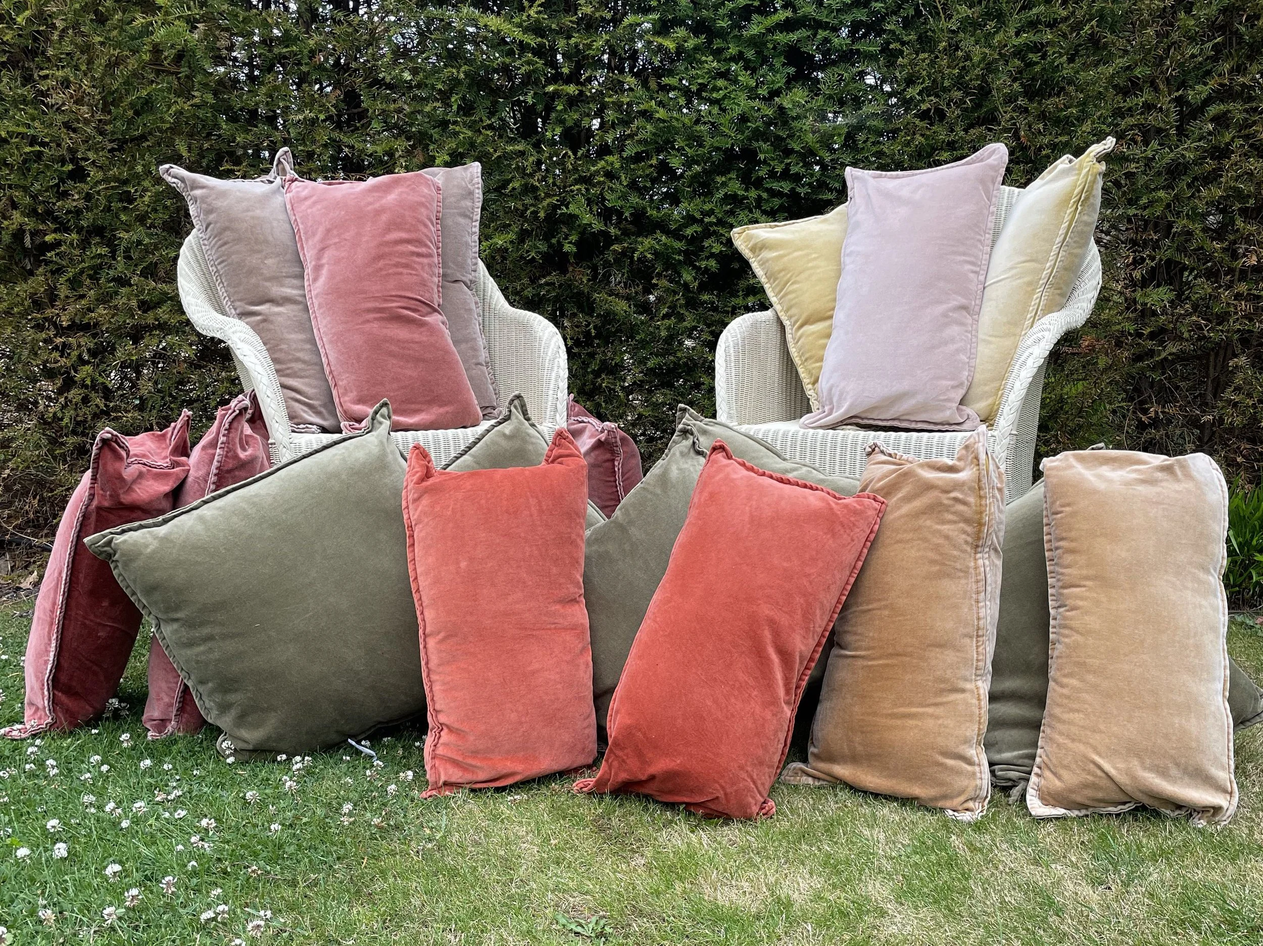 Cotton Velvet Cushions — Louise Hall Decorative