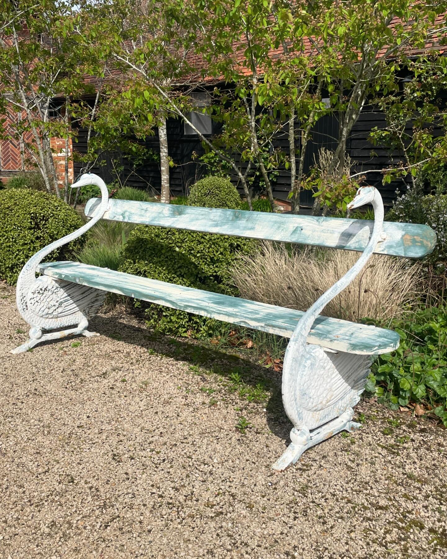 A near pair of exquisite swan benches in the sunshine&hellip;suddenly, today everything seems green and bright&hellip;gardens are beckoning. 19th century swan benches, heavy iron bases and wooden seats and backs, immaculate condition, for sale. DM fo