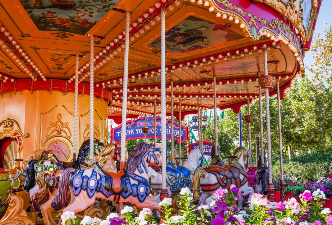 carousel-442-1068x726.jpg