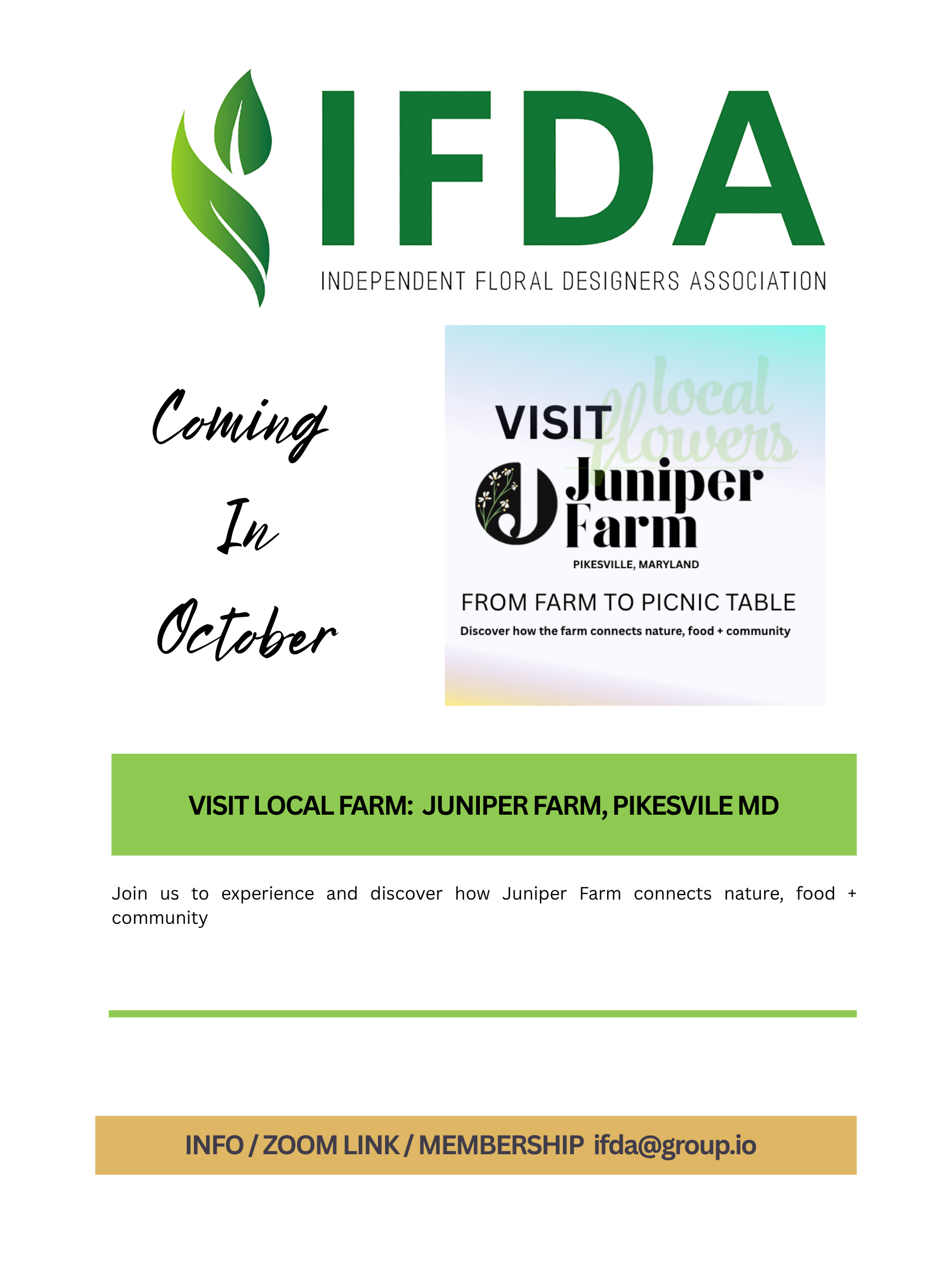 IFDA Programs.png