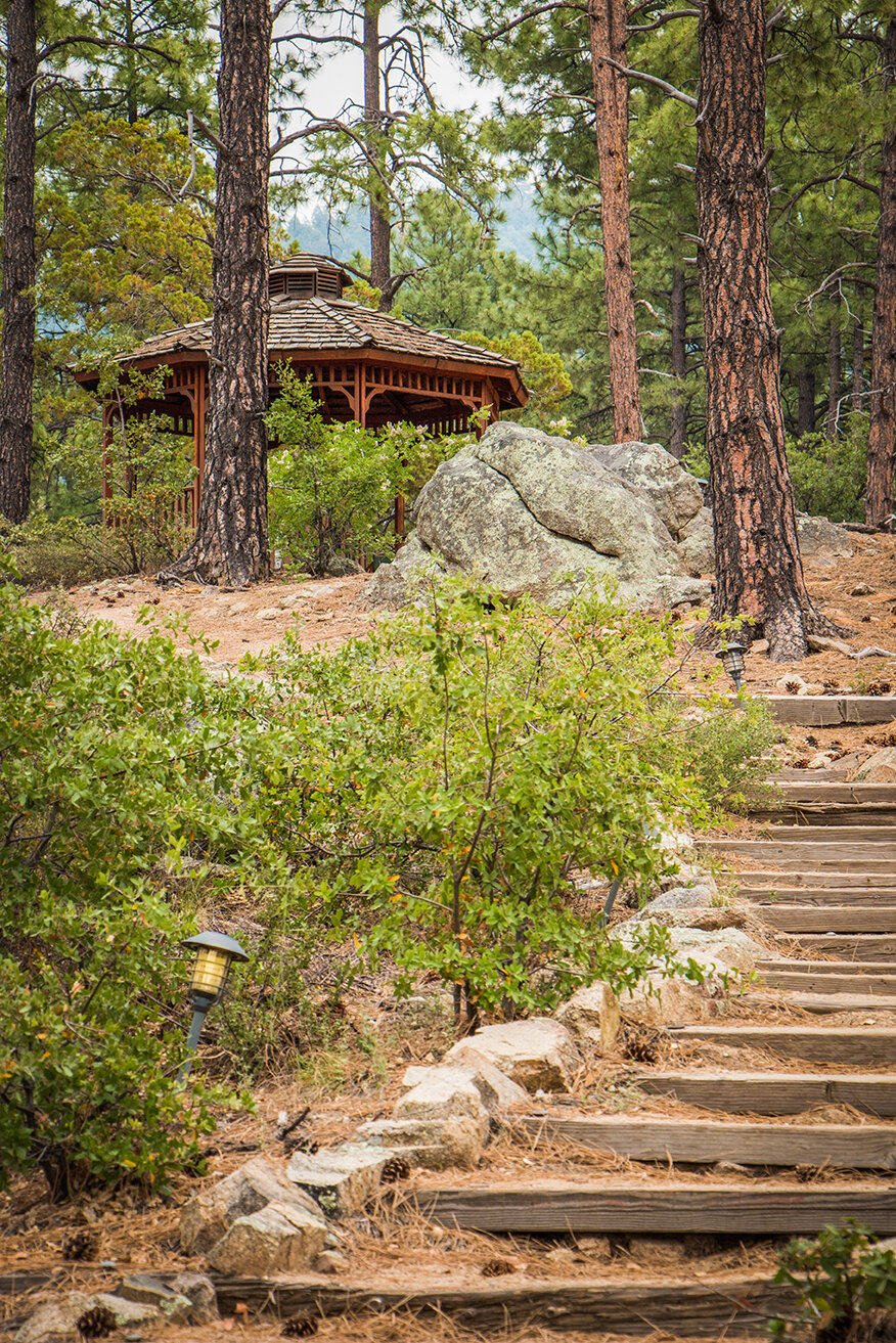 Arizona Senior Winter Reunion