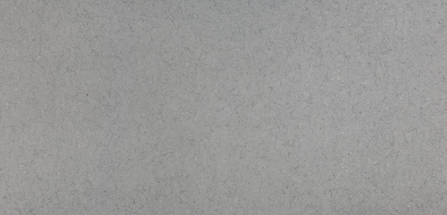 cygnus suede 1.png