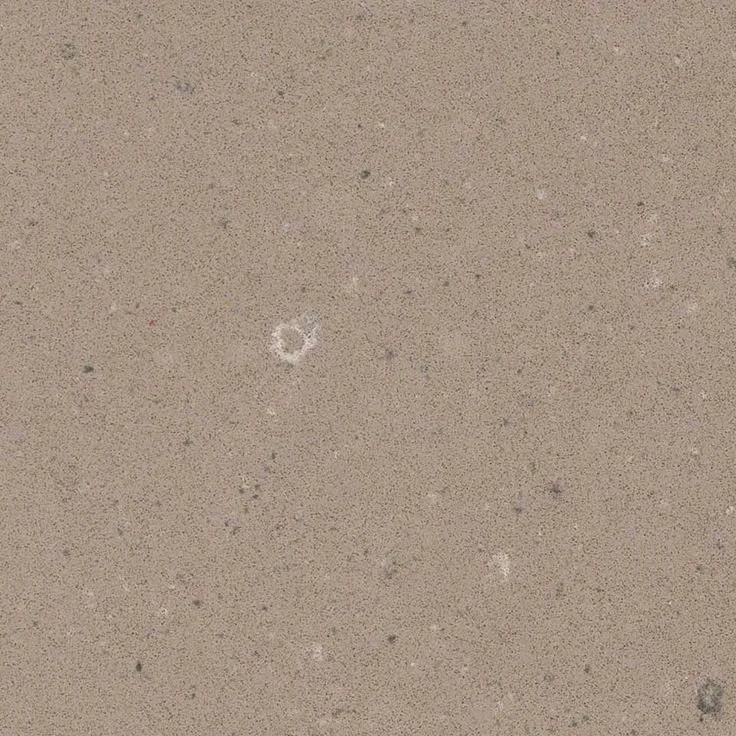 Fossil Taupe Quartz - Q™ Premium Quartz - MSI Quartz.jpeg