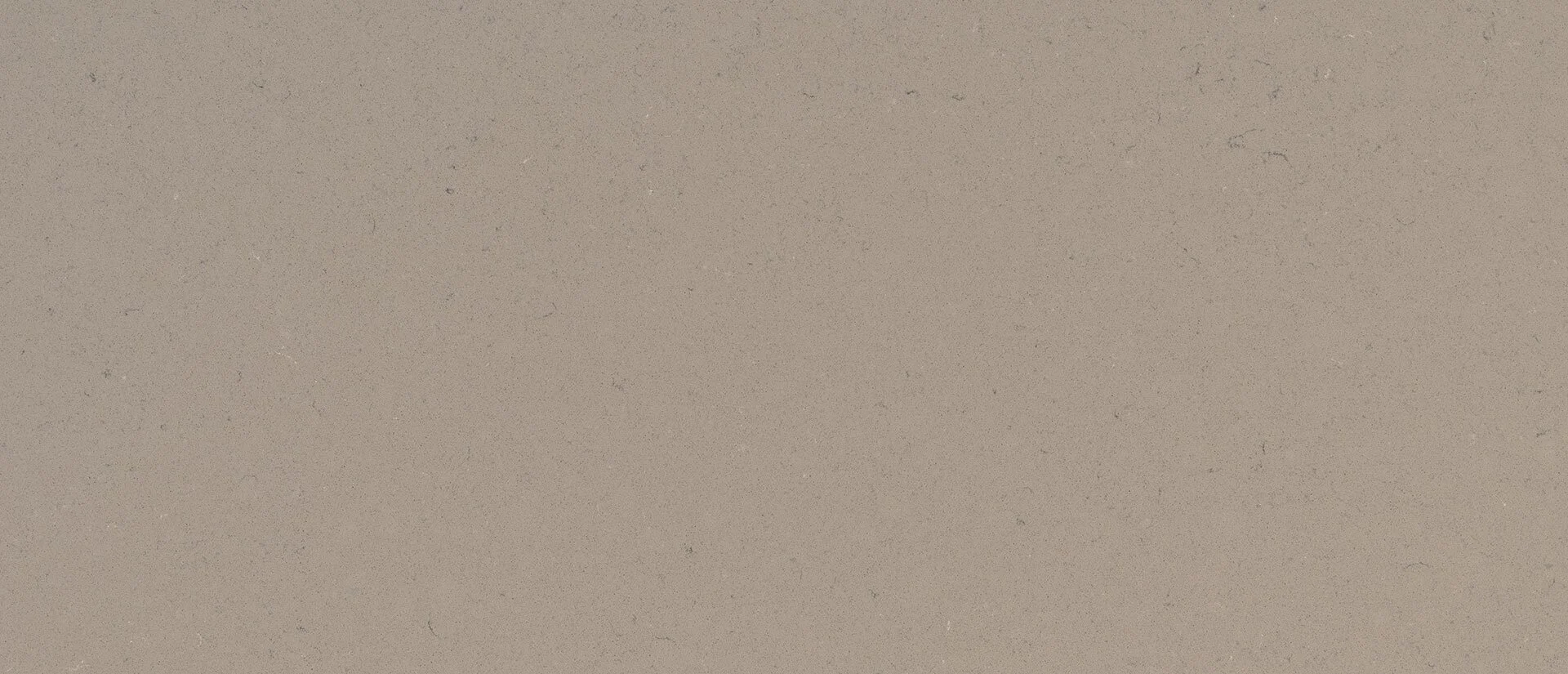 Fossil Taupe 2.jpg