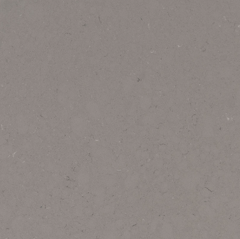 fossil-gray-quartz 2.jpg.png