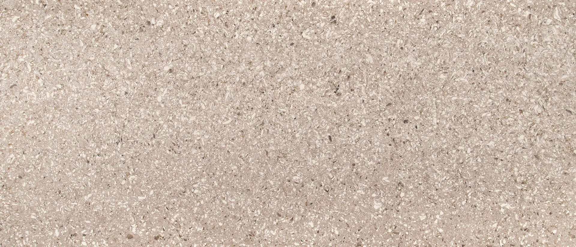 #42 Chakra Beige - MSI