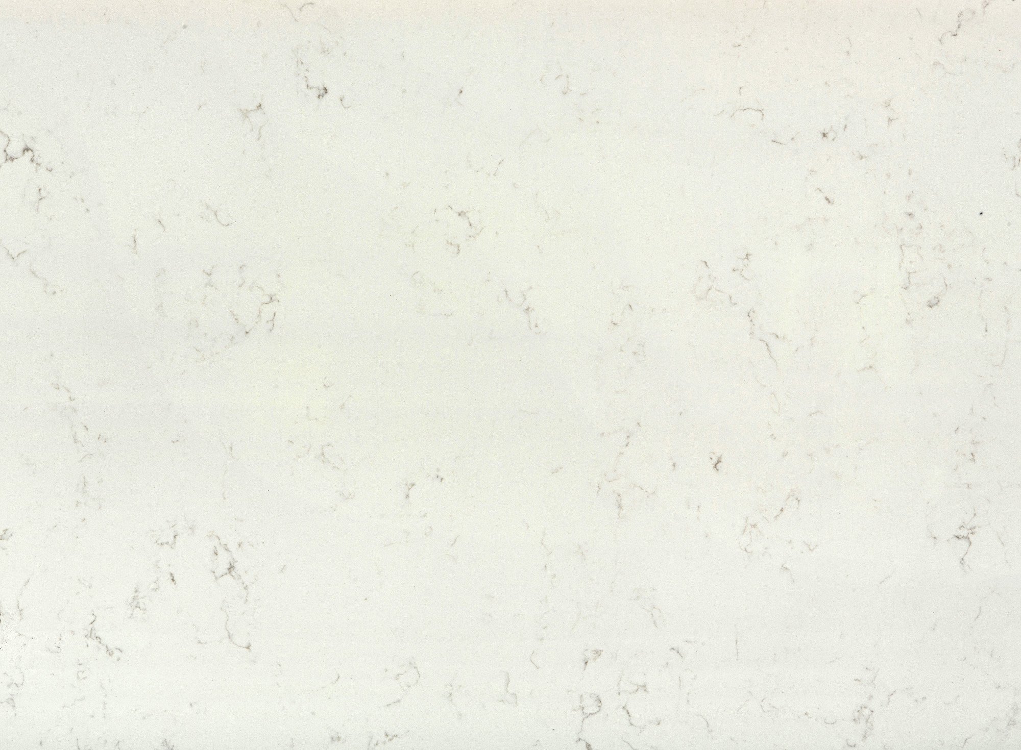 detail.jpg