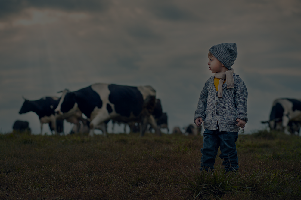 shutterstock_490003732-OVERLAY.png
