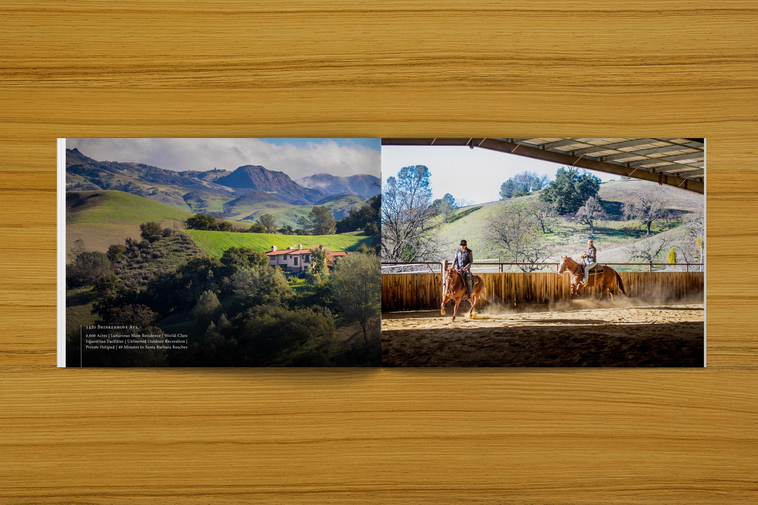 One of the spread pages.