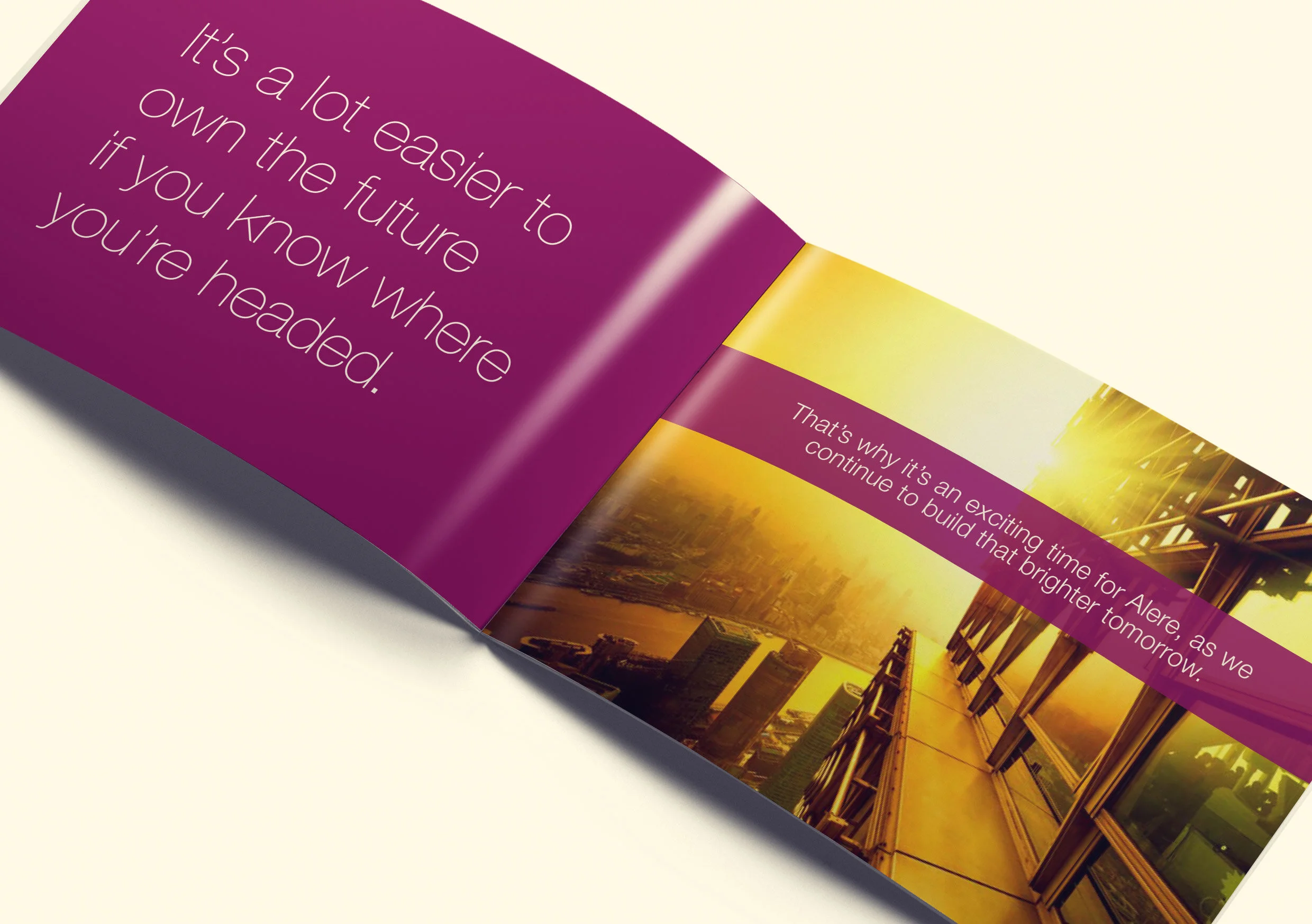 Middle spread pages for brochure proposal.