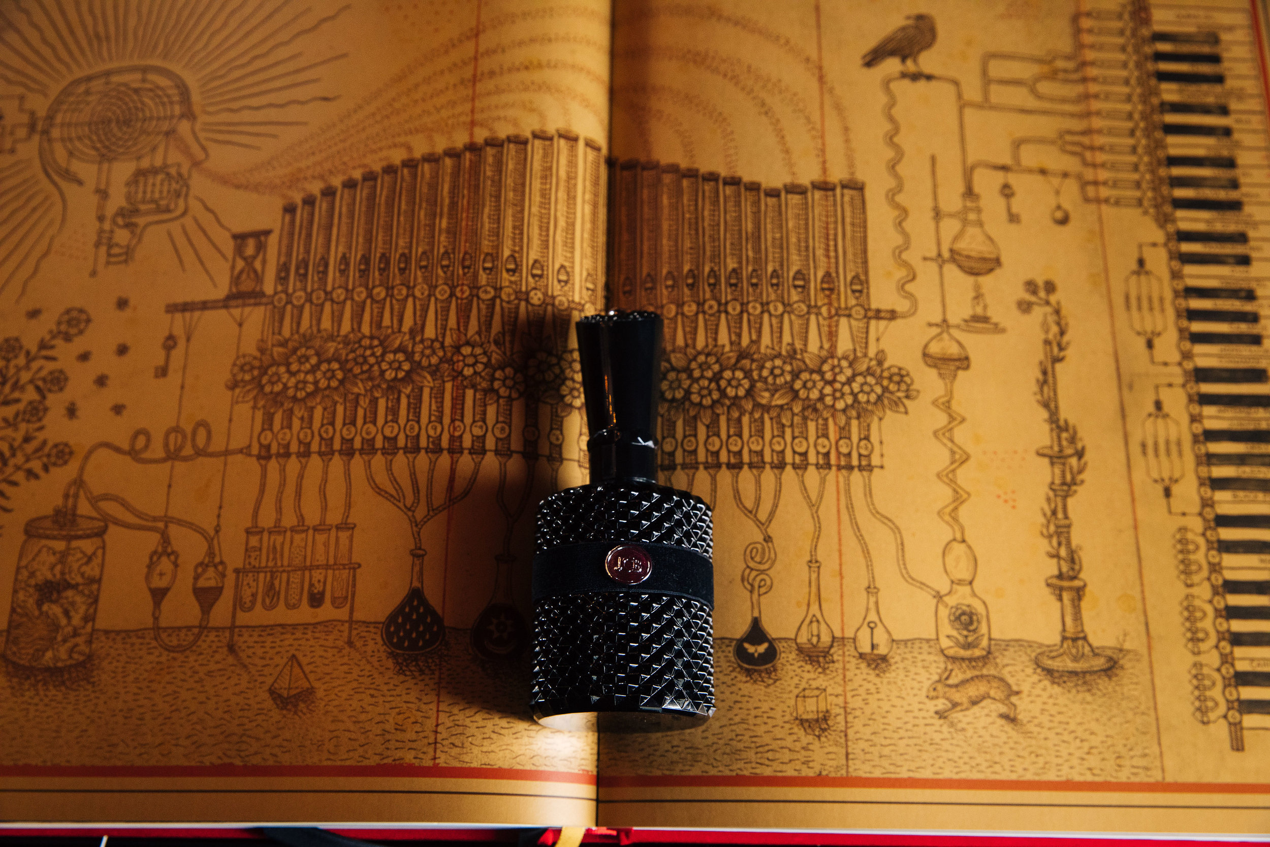 Fav_AlchemyofSenses_Alexander_Rubin_0366.jpg