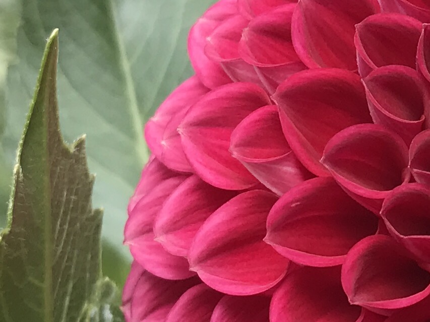 dc1c3ac5-a6d2-4872-b9f6-9c0de481cde2.jpg