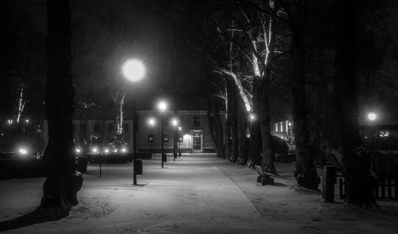  Plantaget i Åmål i januari 2026. 