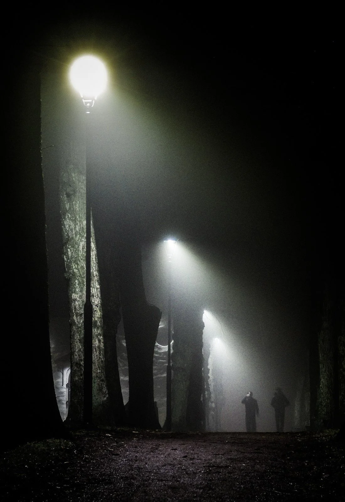  Allén vid Gamla Kyrkan i mars 2026. 