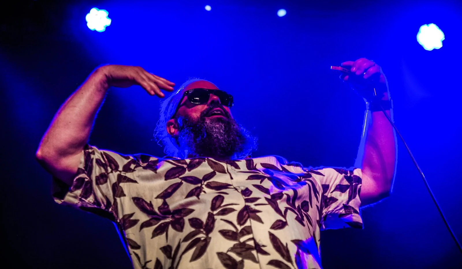  Wentus Blues Band. Åmåls Bluesfest 2026. 