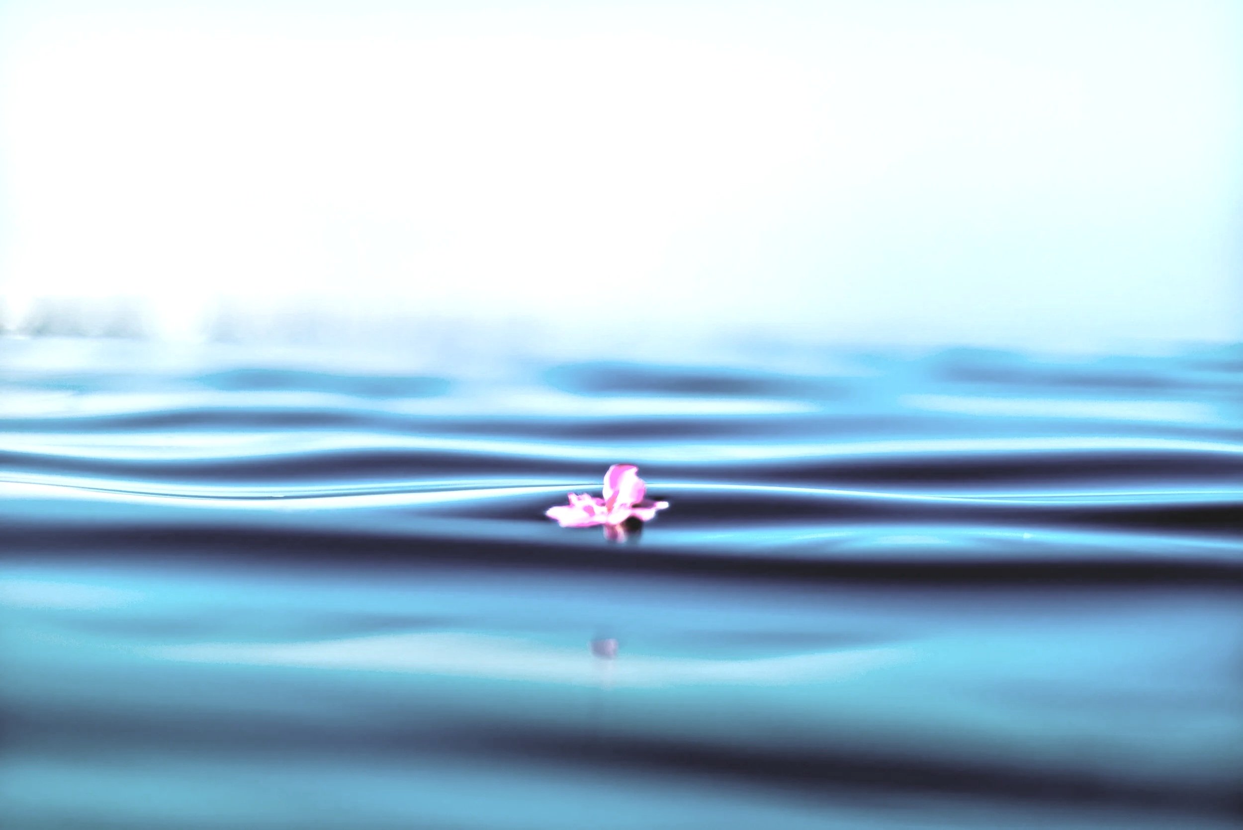 image-asset.jpg